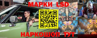 крисы Лесосибирск