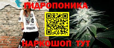 крисы Лесосибирск