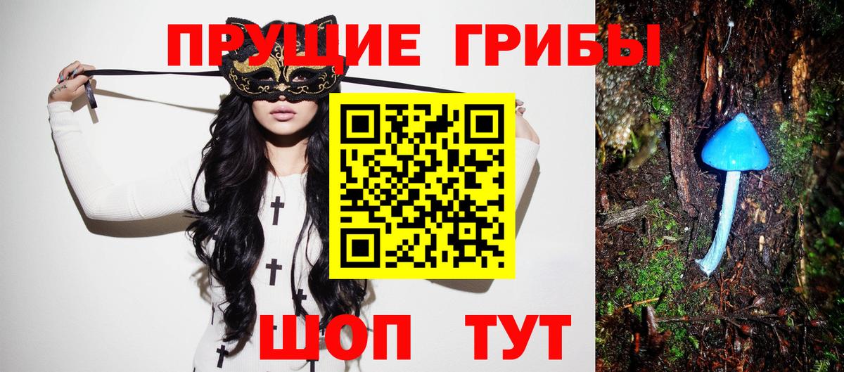 Галлюциногенные грибы GOLDEN TEACHER Лесозаводск