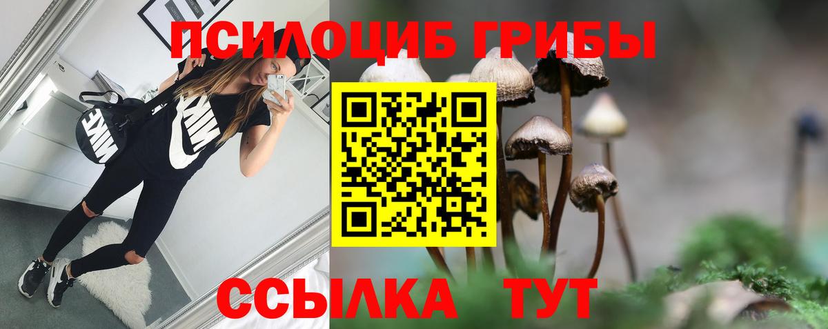 Лесозаводск  Галлюциногенные грибы MAGIC MUSHROOMS  купить наркоту  Вход с VPN  Псилоцибиновые грибы мицелий 
